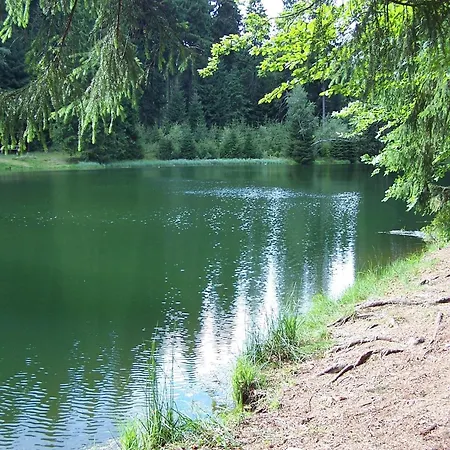 Casa vacanze Exklusives Gruppenhaus Mit Cinema Treuen