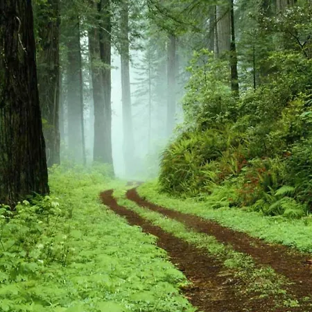 Дом отдыха Exklusives Gruppenhaus Mit Cinema *