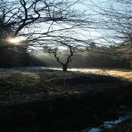 Exklusives Gruppenhaus Mit Cinema *
