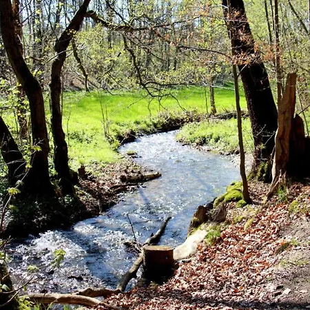 Exklusives Gruppenhaus Mit Cinema Treuen
