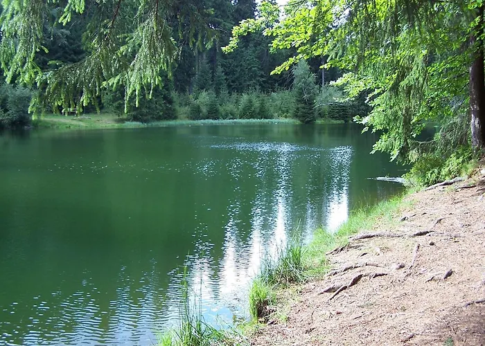 Dom wakacyjny Exklusives Gruppenhaus Mit Cinema Treuen