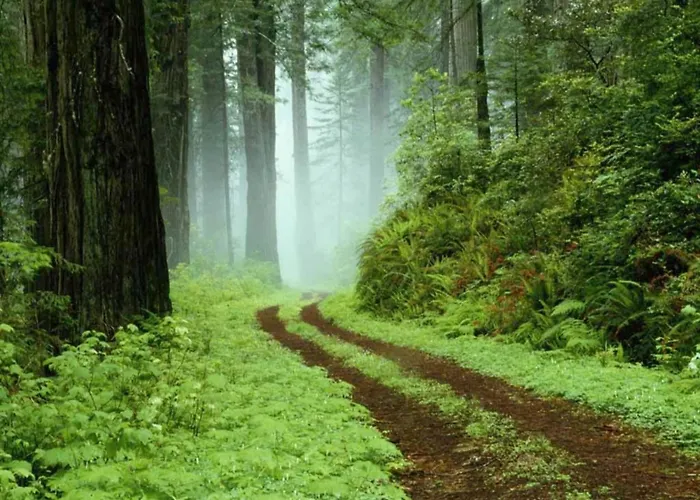 Dom wakacyjny Exklusives Gruppenhaus Mit Cinema *