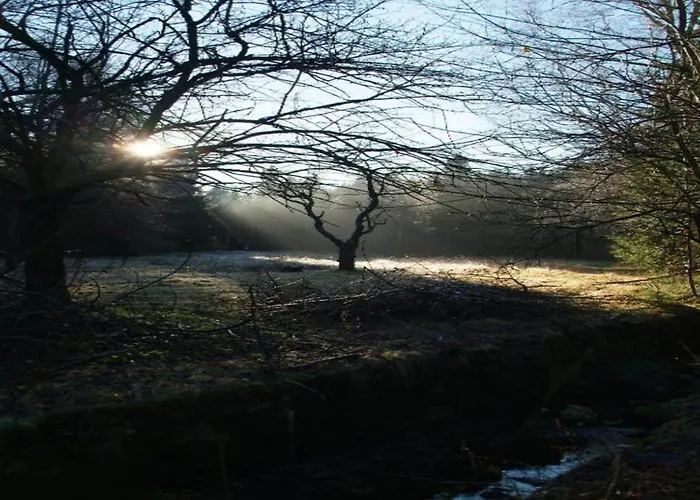 Exklusives Gruppenhaus Mit Cinema *