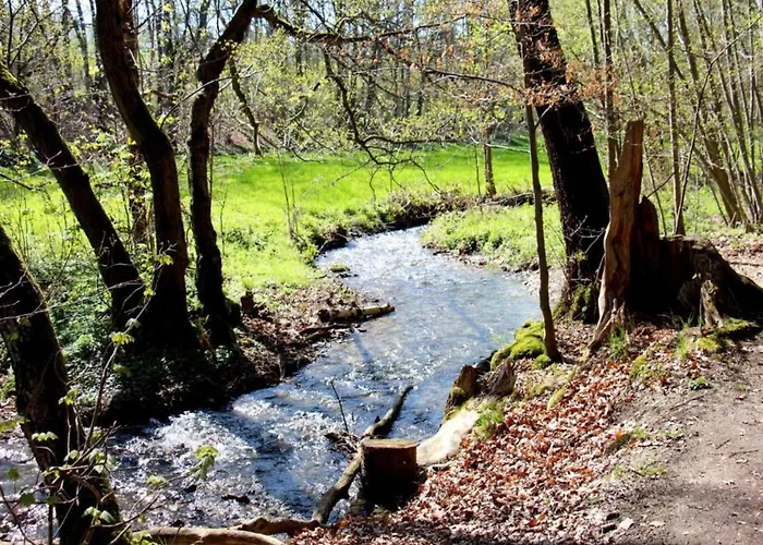 Exklusives Gruppenhaus Mit Cinema Treuen